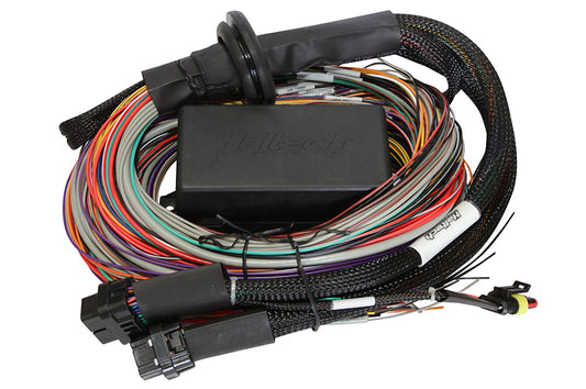 Elite 1500 Premium Universal Wire-in Harness Length: 2.5m (8')
