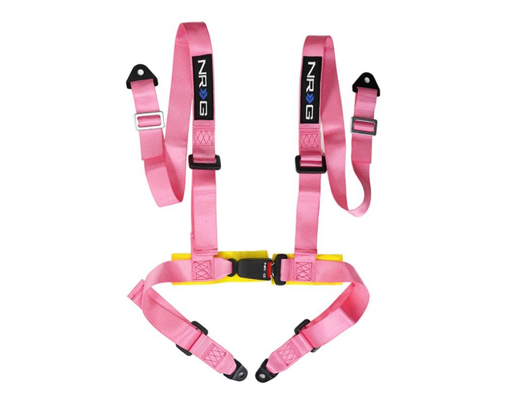4 Point Seat Belt Harness / Buckle Lock