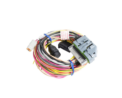 AEM AQ-1 96 Flying Lead Wiring Harness